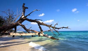 Elephanta Beach - Orient Legend Resort